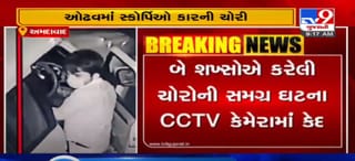 અમદાવાદના ઓઢવમાં કાર ચોરીની ઘટના CCTV કેમેરામાં કેદ, જુઓ VIDEO