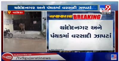 વડોદરાના ચાંદોદમાં વાતાવરણમાં પલટો, વરસાદી ઝાપટાની થઈ શરુઆત