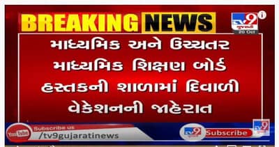 માધ્યમિક અને ઉચ્ચતર માધ્યમિક શિક્ષણ બોર્ડ હસ્તકની શાળાઓમાં 29 ઓક્ટોબરથી18 નવેમ્બર સુધી દિવાળી વેકેશન