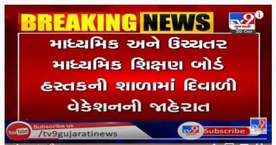 માધ્યમિક અને ઉચ્ચતર માધ્યમિક શિક્ષણ બોર્ડ હસ્તકની શાળાઓમાં 29 ઓક્ટોબરથી18 નવેમ્બર સુધી દિવાળી વેકેશન
