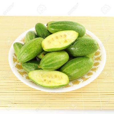 પચવામાં હલકી અને પૌષ્ટિક શાકભાજી એટલે પરવળ, જાણો ફાયદા