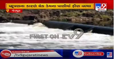 રાજકોટના જેતપુરમાં પ્રદૂષણ માફિયાઓ બેફામ, સરધારપુર ગામનો ભાદર નદી પરનો કોબા ચેક ડેમ પ્રદૂષિત, પ્રદૂષણના કારણે ફીણની એક ચાદર બની ગઈ