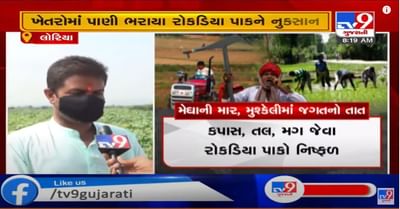 કચ્છમાં ચાલુ સિઝનમાં રેકોર્ડ બ્રેક વરસાદથી ખેડુતો હાલાકીમાં, ભૂજના ચૌવીસી ગામોનાં ખેડુતો માગી રહ્યા છે સરકાર પાસે મદદ
