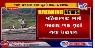 મહીસાગરમાં ભારે વરસાદના કારણે વૃક્ષો ધરાશાયી, લુણાવાડા સંતરામપુર માર્ગ બંધ