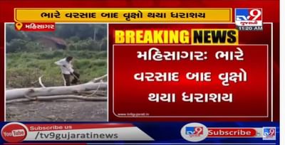 મહીસાગરમાં ભારે વરસાદના કારણે વૃક્ષો ધરાશાયી, લુણાવાડા સંતરામપુર માર્ગ બંધ