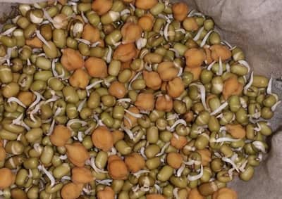 જાણો એવી 8 વસ્તુઓ વિશે, જેને રાતભર પલાળી રાખી બીજા દિવસે ખાવાથી મળશે ભરપૂર ફાયદા