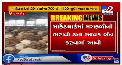 રાજકોટ માર્કેટયાર્ડમાં મગફળીની આવક અને હરાજીની પ્રકિયા ફરી શરુ કરવામાં આવી