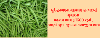 સુરેન્દ્રનગરના વઢવાણ APMCમાં ગુવારના મહત્તમ ભાવ રૂ.7500 રહ્યાં ,જાણો જુદા-જુદા શાકભાજીના ભાવ એક ક્લિક પર