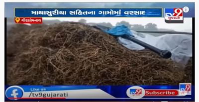 ગીરસોમનાથમાં આશો મહિનામાં જામ્યો અષાઢી માહોલ, કમોસમી વરસાદનાં કારણે ખેડૂતોને માથે હાથ દેવાનો વારો