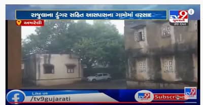 રાજુલામાં કમોસમી વરસાદ વરસ્યો, ખેડૂતોના પાકને ભારે નુકસાન