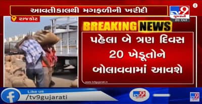 રાજકોટમાં આવતીકાલથી 11 તાલુકામાં કુલ 22 સ્થળો પર મગફળીની ખરીદી શરૂ કરાશે, મગફળીની ખરીદી બાદ 150 જેટલા ગોડાઉન ભાડે રખાશે અને CCTV પણ લગાડાશે