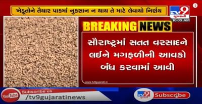 સૌરાષ્ટ્રમાં સતત વરસાદને લઈને મગફળીની આવક બંધ કરાઇ, ખુલ્લામાં મગફળી પલળી ન જાય તે માટે યાર્ડના સત્તાધીશોનો નિર્ણય