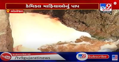 અંકલેશ્વરમાં કેમિકલ માફિયાઓનું પાપ, ખેડૂતોને પારાવાર નુકસાન