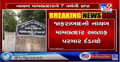 જાફરાબાદના નાયબ મામલતદારને 7 વર્ષની કેદ, લાંચ કેસમાં રાજુલા સેશન્સ કોર્ટે ફટકારી સજા