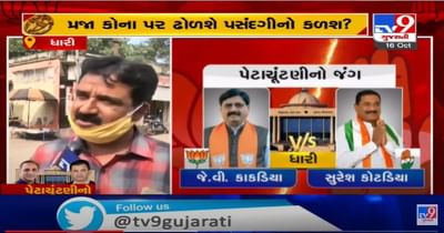 અમરેલીની ધારી બેઠક માટે શું છે મતદારોનો મિજાજ ? જુઓ આ વિડીયોમાં