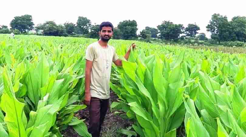 ગ્રેજ્યુએટ યુવકે હળદરની ઓર્ગેનિક ખેતીથી કર્યો લાખોનો નફો, વાંચો તેની સફળવાર્તા