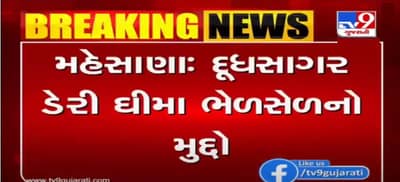 દૂધસાગર ડેરી ઘીમાં ભેળસેળ કરવાનો કેસ, પૂર્વ વાઈસ ચેરમેન અને પૂર્વ MDની ડિફોલ્ટ જામીન અરજી રદ