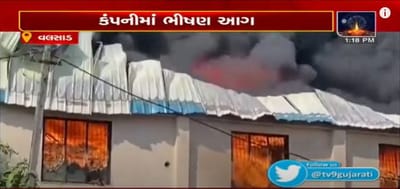 વલસાડ: ધમડાચીના પીરૂ ફળિયામાં પ્લાસ્ટિકના દાણા બનાવતી કંપનીમાં લાગી આગ, જુઓ VIDEO