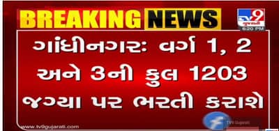 રાજય સરકારમાં મોટી ભરતી પ્રક્રિયા, GPSC કલાસ I & II સહિત, વર્ગ-૧,૨, ૩ની કુલ ૧૨૦૩ જગ્યાઓ માટે ૭૦ જાહેરાત પ્રસિદ્ધ