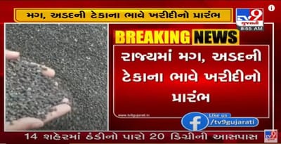 રાજ્યમાં મગ, અડદ અને સોયાબીનની ટેકાના ભાવે ખરીદીનો પ્રારંભ, રાજ્યમાં 30 જાન્યુઆરી સુધી મગ, અડદ અને સોયાબીનની ખરીદી કરાશે