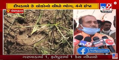 પંચમહાલના ઘોઘંબામાં દીપડાની દહેશત, 10 દિવસમાં દીપડાએ કર્યા 7 હુમલા