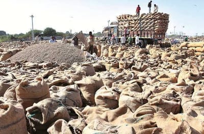 અમરેલી: બગસરા માર્કેટિંગ યાર્ડમાં ટેકાના ભાવે મગફળી વહેંચવા ખેડૂતોએ લગાવી લાઈન