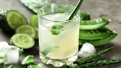 ઔષધિય સુંગધિત પાકોના નવા ડીસ્ટીલેશન યુનિટ શરૂ કરવા મળશે સરકારી સહાય, જાણો વિગતો