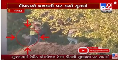 અરવલ્લીનાં ગાબટ ગામે દિપડાનો આતંક, રેસ્ક્યુ ટીમ પર દિપડો હુમલો કરી ઝાડીમાં ગુમ