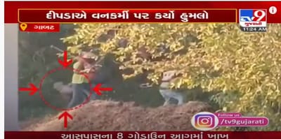 બાયડના ગાબટ ગામે દિપડાએ, વન કર્મી પર કર્યો હુમલો, વન કર્મીને હાથ-છાતીના ભાગે પહોચી ઈજા