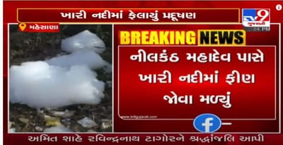 મહેસાણાની ખારી નદીમાં ભારે માત્રામાં પ્રદુષણ, પ્રદૂષણ બોર્ડની ઢીલી નીતિ સામે લોકોમાં રોષ