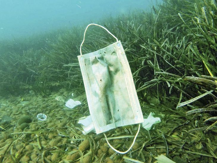 દરિયાઇ જીવો પર નવો ખતરો, 150 કરોડ માસ્કનો કચરો સમુદ્રમાં