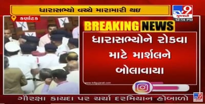 કર્ણાટક વિધાનસભામાં ધારાસભ્યો વચ્ચે મારામારીના દ્રશ્યો સર્જાયા, જુઓ વીડિયો