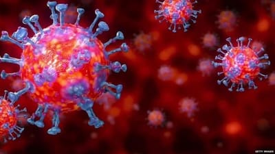 વડોદરામાં પાછલા 24 કલાકમાં કોરોનાના નવા 106 કેસ નોંધાયા, એકનું મોત