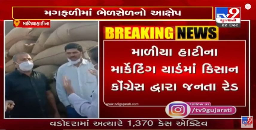 મગફળીમાં ગોલમાલનો પાલ આંબલિયાનો આરોપ, માળિયાહાટીના માર્કેટ યાર્ડમાં કિસાન કોંગ્રેસની જનતા રેડ