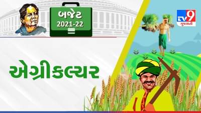 Budget 2021 Agriculture: ખેડૂતો માટે અંદાજપત્રમાં શું હશે મુખ્ય ફાળવણી ?