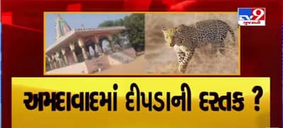 અમદાવાદના વસ્ત્રાલમાં દીપડો દેખાયો હોવાની આશંકા, વનવિભાગે લોકોને સર્તક રહેવા જણાવ્યું