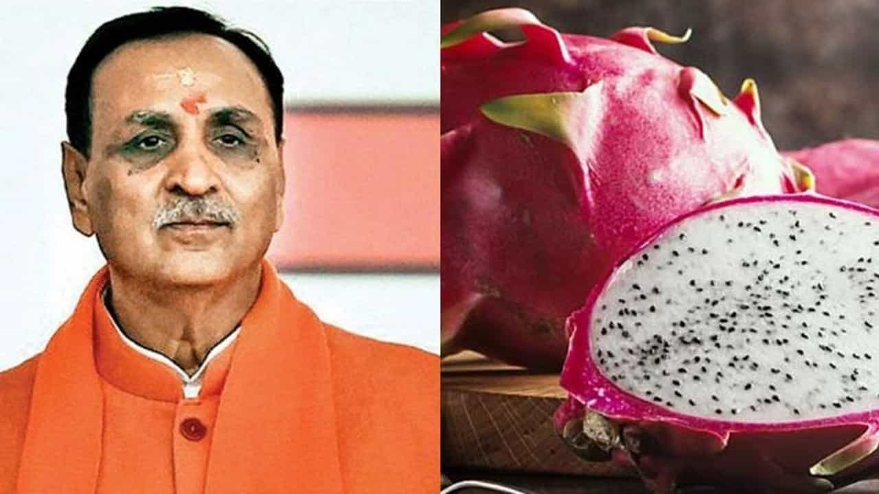 CM રૂપાણી: ઓળી જોળી પીપળ પાન Dragon Fruitનું કમલમ્ નવુ નામ!