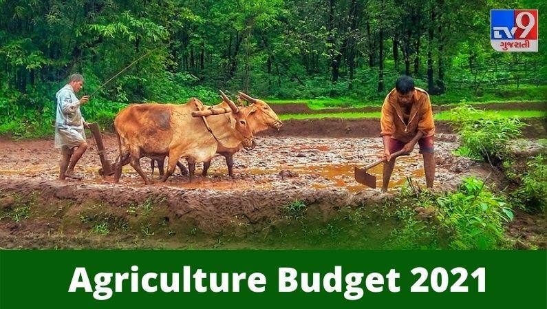 Agriculture Budget 2021: રિટેલ, ટેકનોલોજી અને ઓટો સેક્ટર્સમાં સુધારાની આશ