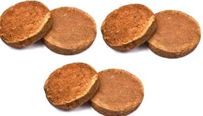 ઓનલાઈન મંગાવેલા છાણાને કેક સમજીને ખાઈ ગયો વ્યક્તિ, REVIEWમાં લખ્યું કે સ્વાદ અને ક્રિસ્પી પર ધ્યાન આપો