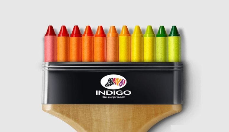 IPO:  INDIGO PAINTSનો આજથી IPO ખુલશે, જાણો વિગતવાર માહિતી