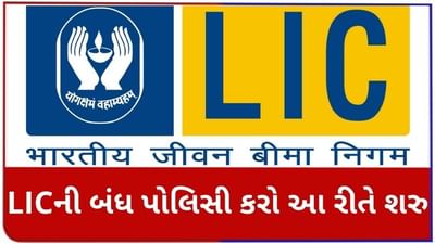 LICએ બંધ કરવામાંં આવેલી પોલિસીને ફરી શરૂ કરવાની આપી બીજી તક