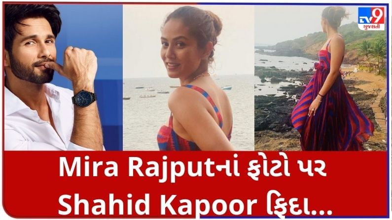 Mira Rajputએ સમુદ્ર કિનારેથી ફોટા શેર કર્યા, Shahid Kapoor પોતાને ટિપ્પણી કરતા રોકી શક્યો નહીં