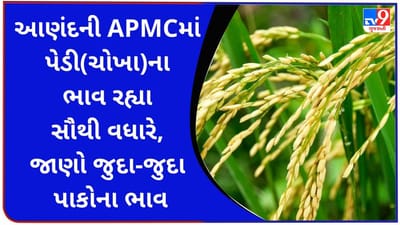 Anandની APMCમાં પેડી(ચોખા)ના ભાવ 1680 રહ્યા, જાણો જુદા-જુદા પાકોના ભાવ