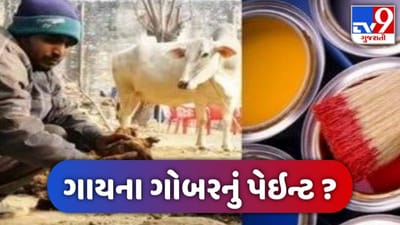 ગાયના છાંણનું લીપણ નહીં હવે આવી ગયું Gobar Paint, જાણો 'Eco Friendly Paint' વિશે