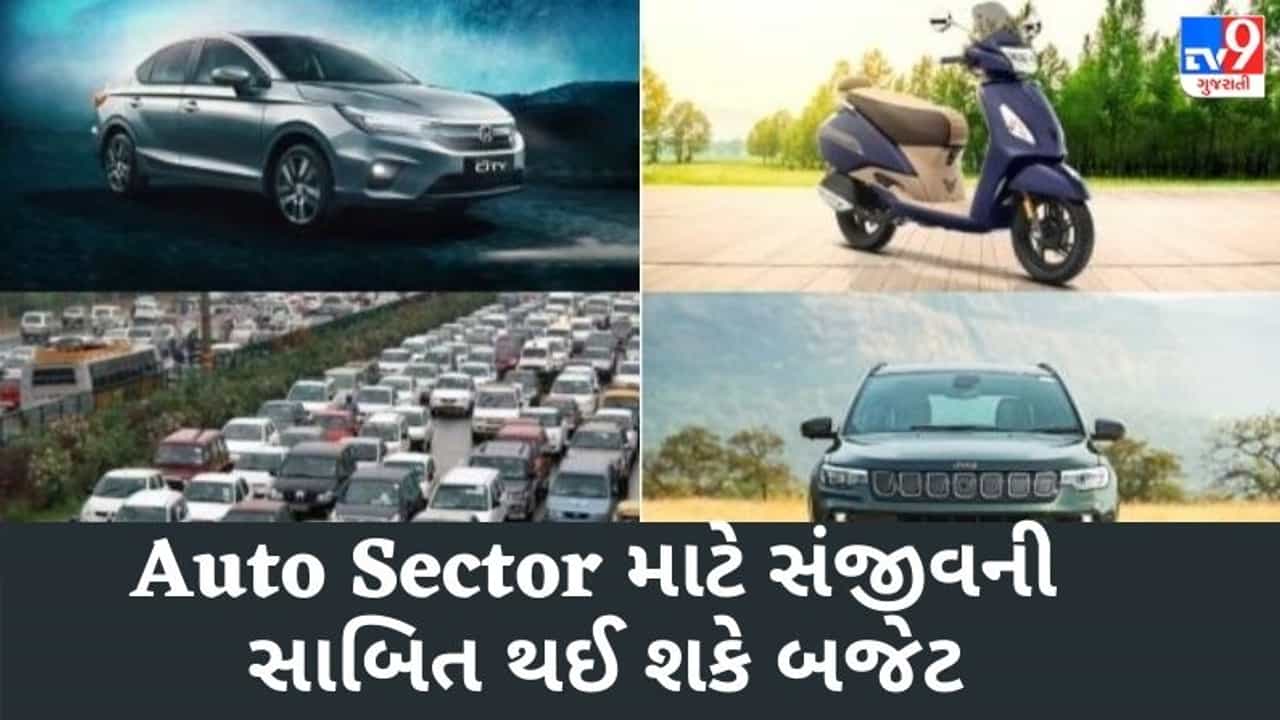 Budget 2021: Auto Sector માટે સંજીવની સાબિત થઈ શકે બજેટ, ઈલેક્ટ્રિક વાહનો સસ્તા થવાની શક્યતા