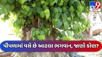 પીપળાના વૃક્ષમાં હોય છે આ દેવોનો વાસ, જાણો કોણ બિરાજે છે પીપળામાં ?