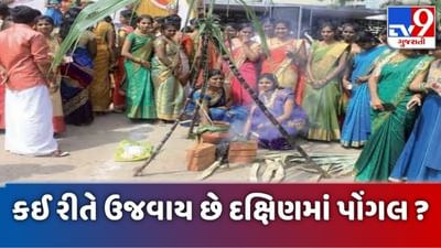 Pongal 2021: જાણો દક્ષિણ ભારતમાં પોંગલનો ઉત્સવ કેવી રીતે ઉજવવામાં આવે છે