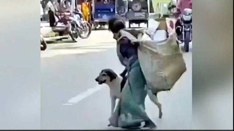 SOCIAL MEDIA: કચરો વિણનારી મહિલાએ આ રીતે બચાવ્યો કુતરાનો જીવ, જુઓ VIRAL VIDEO