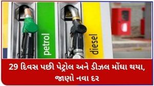 Petrol Diesel Price: 29 દિવસ પછી પેટ્રોલ અને ડીઝલ મોંઘા થયા, જાણો નવા દરો