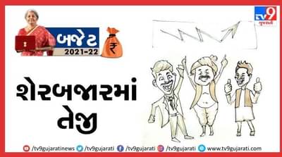 Budget 2021: નાણાં મંત્રીના બજેટ ભાષણને શેરબજારનો આવકાર, SENSEX 750 અંક ઉછળ્યો